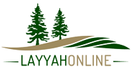 Layyah Online